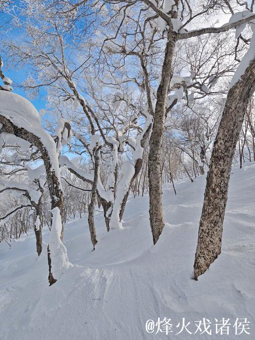滑雪发烧友感叹刷卡如滑雪,钱包空了笑容还在 滑雪发烧友感叹刷卡如滑雪,钱包空了笑容还在
